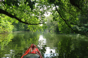 South Sandy Creek