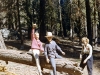 camping1963-284