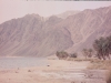 dahab13-may-1998