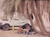 dahab8-may-1998